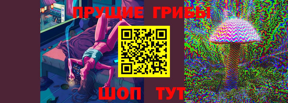 Псилоцибиновые грибы MAGIC MUSHROOMS  Вход с VPN  сколько стоит  Ковров  Галлюциногенные грибы MAGIC MUSHROOMS 